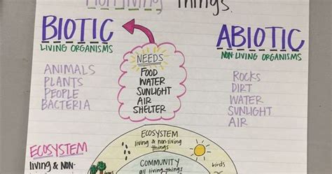 Anchor Chart Ecosystems 5th Grade