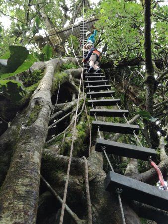 One that covers all of their destinations (including. The Original Canopy Tour (Monteverde, Costa Rica): Reviews ...