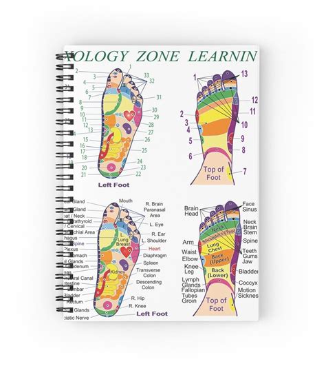 Foot Reflexology Zone Learning Chart Spiral Notebook By Heartsforlove