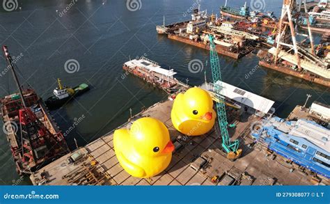 Two Giant Rubber Duckie In Hong Kong Editorial Photography Image Of
