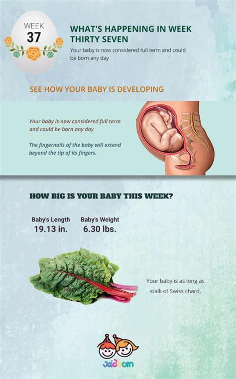 Pregnancy Week 37 Pregnancy Changes Week By Week Kidborn