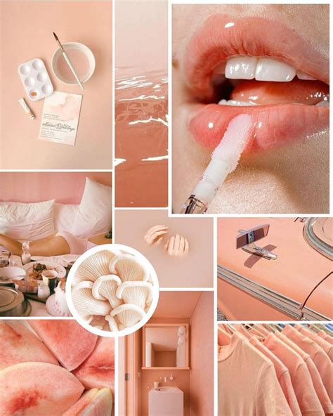 Moodboard Editing Software On Instagram Peach As The Millennial Pink