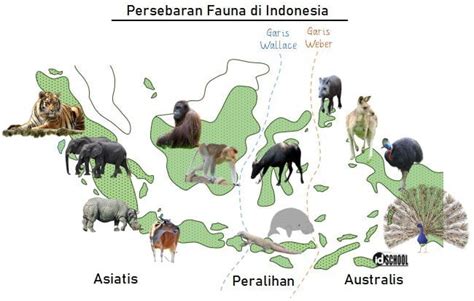 3 Wilayah Persebaran Fauna Di Indonesia
