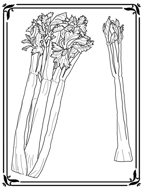 Free printable celery coloring pages. Celery Printable Coloring Pages | Realistic Coloring Pages