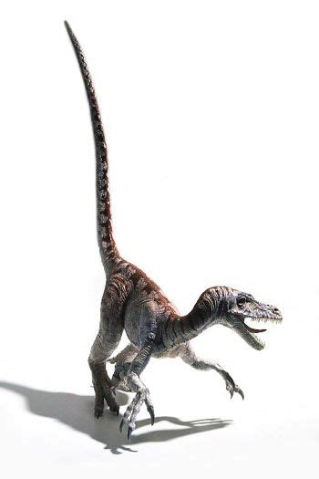 Velociraptor Velociraptor Dinosaur Lizard