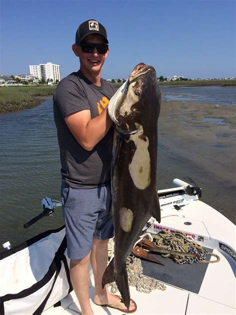 At north myrtle beach fishing charters, we're waiting for you on your perfect angling experience out of myrtle beach, murrells inlet, or little river, south carolina. Fishing Report » Archive » Wrightsville Beach NC-Fishing ...