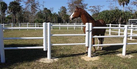 Equisafe Horse Fence Builder In Wellington Florida