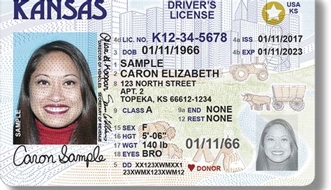 Sylvia Roque On Linkedin Real Id Guide What You Need To Know
