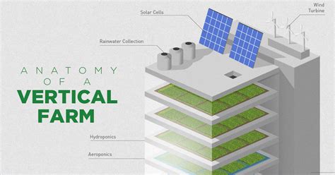 Infographic How Vertical Farming Works