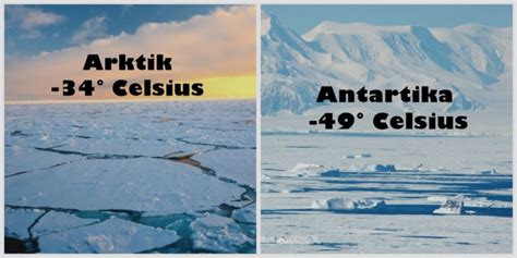 Kutub utara merupakan habitat alami dari beruang kutub, sedangkan kutub selatan merupakan habitat dimana penguin ditemukan secara alami. Buat yang Masih Suka Bingung, Ini 10 Perbedaan Kutub Utara ...