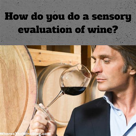 want to be a better wine taster improve your skills with these tips from where s the wine blog