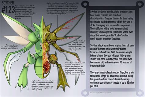 Ciência Pokémon A Anatomia Dos Pokémons Lugar Nenhum