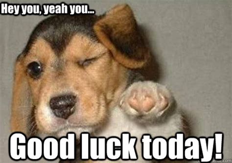 I hope you like it! Good luck today! Hey you, yeah you... - winking pointing puppy - quickmeme