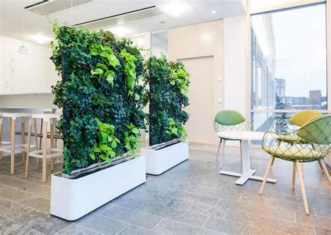 Improving Workplaces With Biophilic Design Gravity