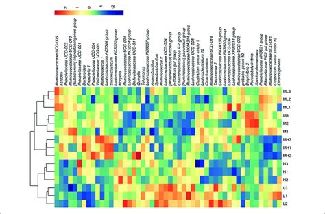 Heat Map Of Species Abundance At The Genus Level Top Bacteria H Download Scientific