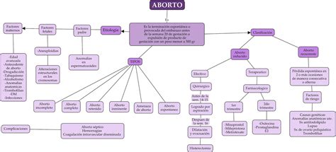 Mapa Conceptual Del Aborto Guia Paso A Paso Images