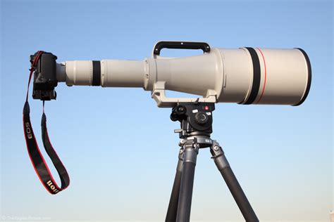 Canon Ef 1200mm F56 L Usm Lens Full Body Portrait