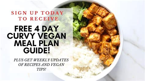 Easy Homemade Weight Gain Meal Plan 2023 Atonce