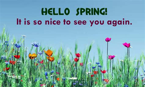 Hello Springits Great To See You Again Spring Flowers Facebook