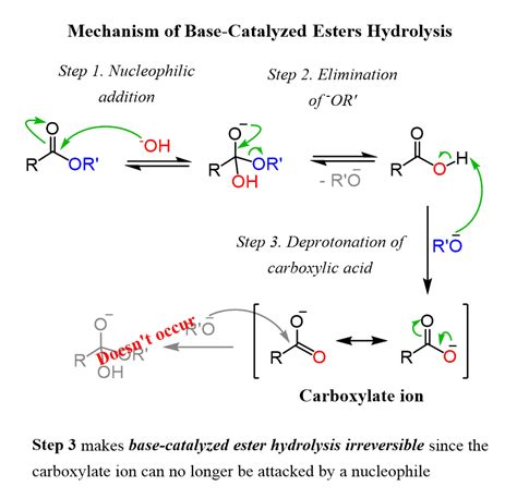 Solved Draw The Mechanism For Acid Catalyzed Hydrolysis Chegg The