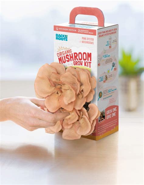 mushroom growing kit easy mushroom cultivation learn mushroom farming back to the roots