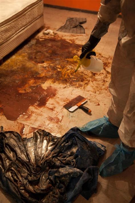 Importance of still photography at scene of crime: NSFW: The Shocking Reality of Crime Scene Cleanup | True ...