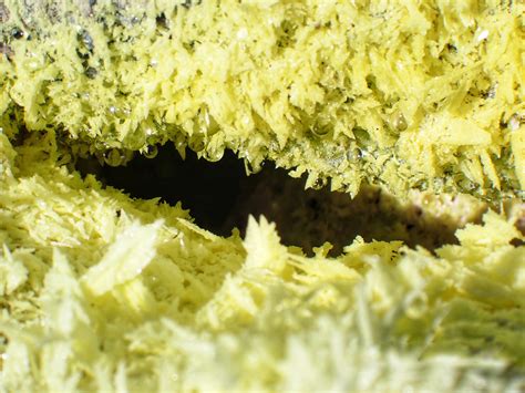 Close Up Image Of Native Sulfur Crystals Us Geological Survey
