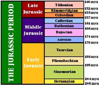 How long did the mesozoic era last. Jurassic Period Stratigraphy
