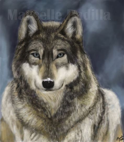 Top 25 Ideas About Wolves On Pinterest Gray Wolf Angry