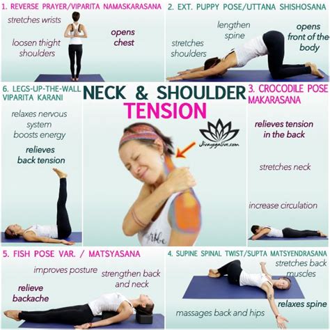 Cervical Neck Pain Exercises Pdf Karie Tuggle