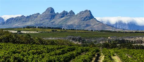 Stellenbosch Travel Information