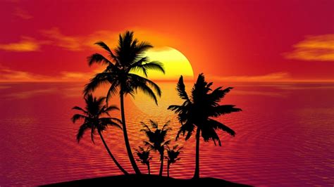 Silhouette Palms Tropical Island Sunset 1080p Red Sky Tropics