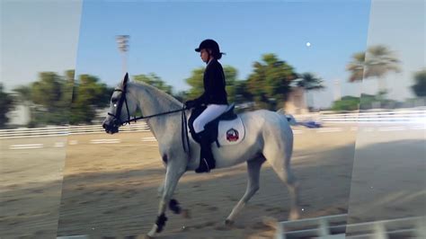 Abu Dhabi Equestrian Club Riding School Youtube