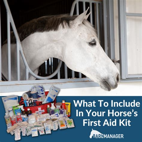 What To Include In Your Horses First Aid Kit Barnmanager