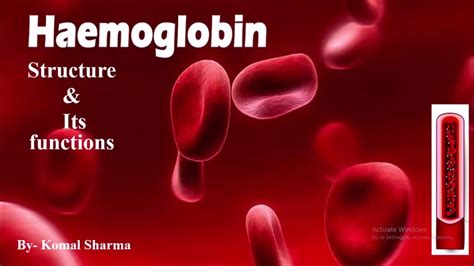 Hemoglobin Structure And Its Functions Study Mlt Youtube