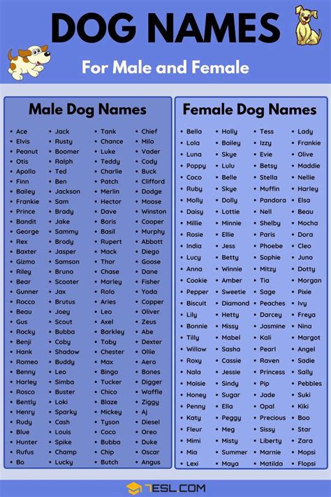 Dog Names 100 Most Popular Male And Female Dog Names 7esl Dog
