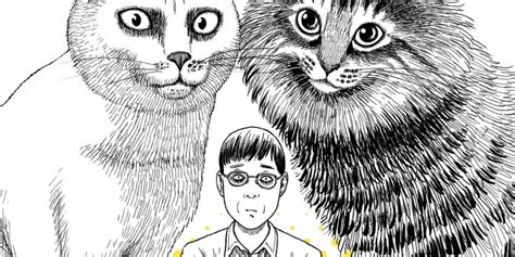 14 Best Junji Ito Manga Books And Short Stories Books And Bao