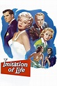 Ver Imitación a la vida (1959) Online Gratis