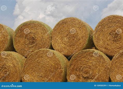 Stack Of Straw Bales Close Up View Of Round Straw Bales Stacked On