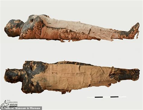 Worlds First Pregnant Ancient Egyptian Mummy May Not Have Been Pregnant Daily Mail Online