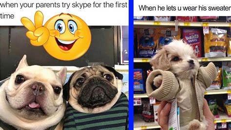 Try Not To Laugh 30 Of The Happiest Dog Memes Ever That Will Make You