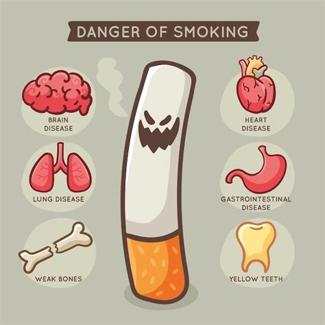 free vector illustrated danger of smoking infographic