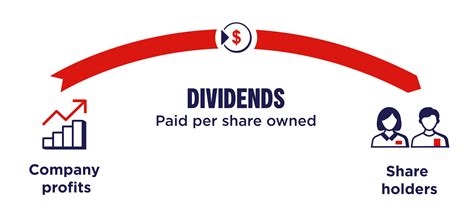 The 4 Step Dividend Payment Process Declaration Ex Dividend Record
