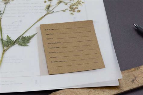 Herbarium Vorlagen · Schritt Für Schritt Ein Herbarium Anlegen