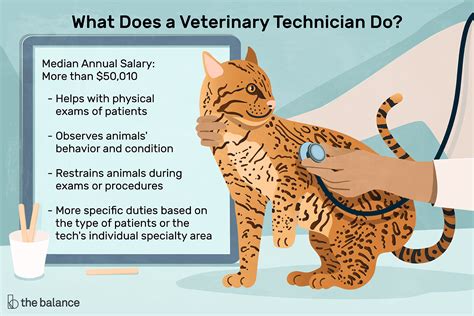 Job description for veterinary assistant. Veterinary Technician Job Description: Salary, Skills, & More