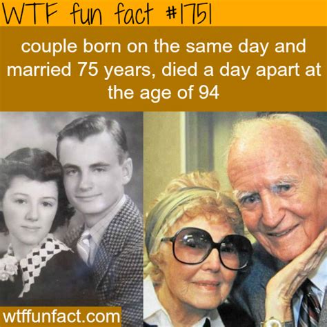 A True Love Story Wtf Fun Facts