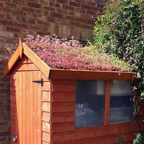 Living Roof Suitable For Use On Single Double And Multi Pitched Garden
