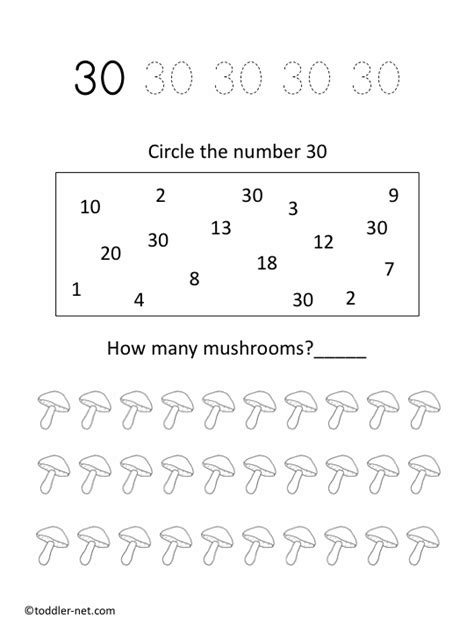 Free Printable Number 30 Worksheet