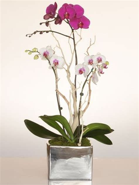 40 Amazing Orchid Arrangements Ideas To Enhanced Your Home Beauty Orchid Flower Arrangements