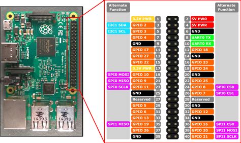 Raspberry Pi Model B Gpio Pinout Muitos Modelos My XXX Hot Girl